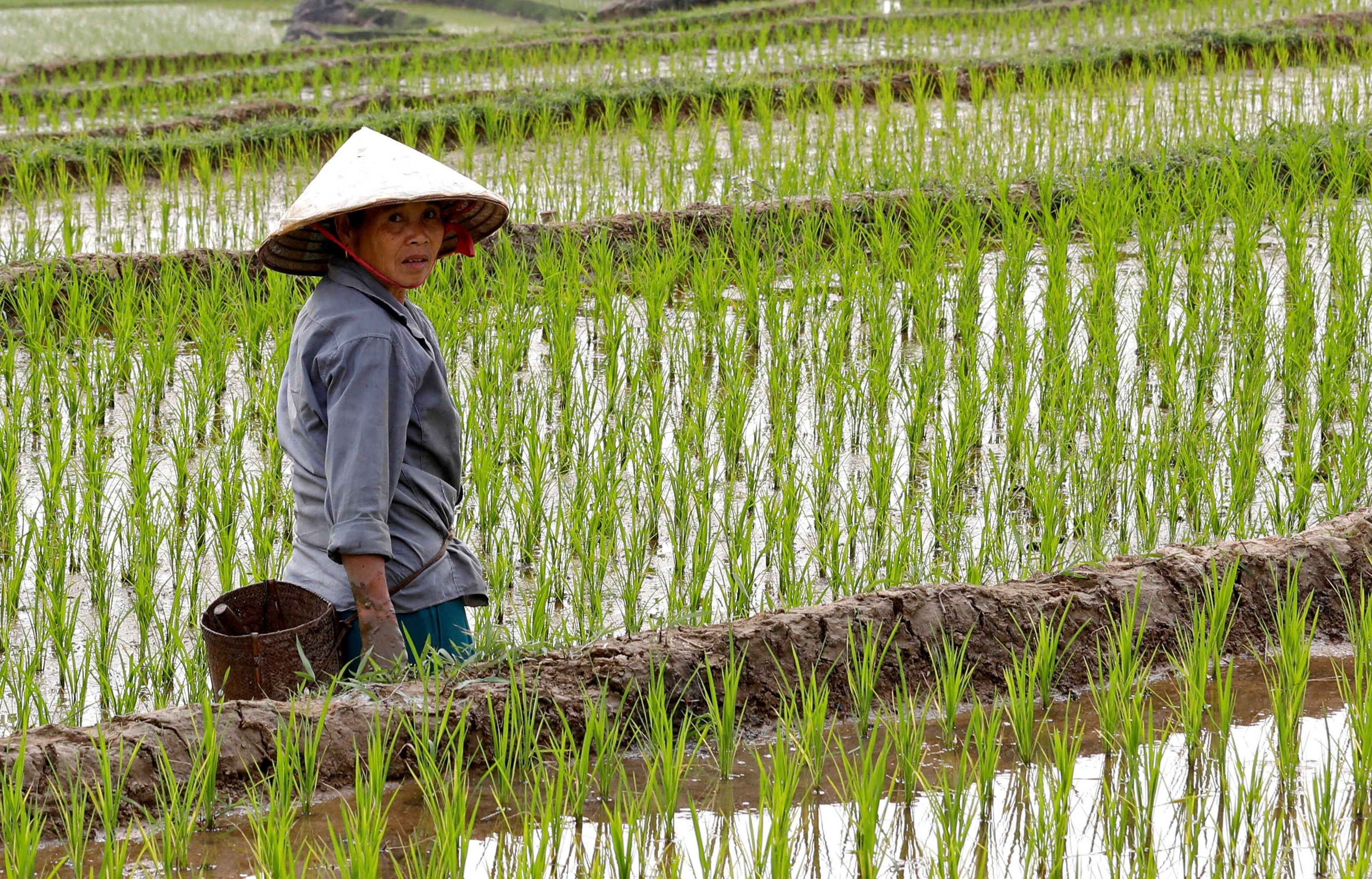 The gioi se ra sao neu nhu khong co nong dan? hinh anh