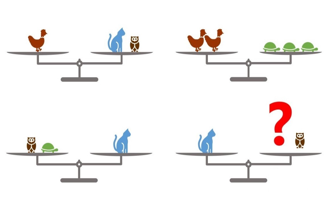 Bai toan tinh khoi luong con meo cua Hoc vien Manshead hinh anh