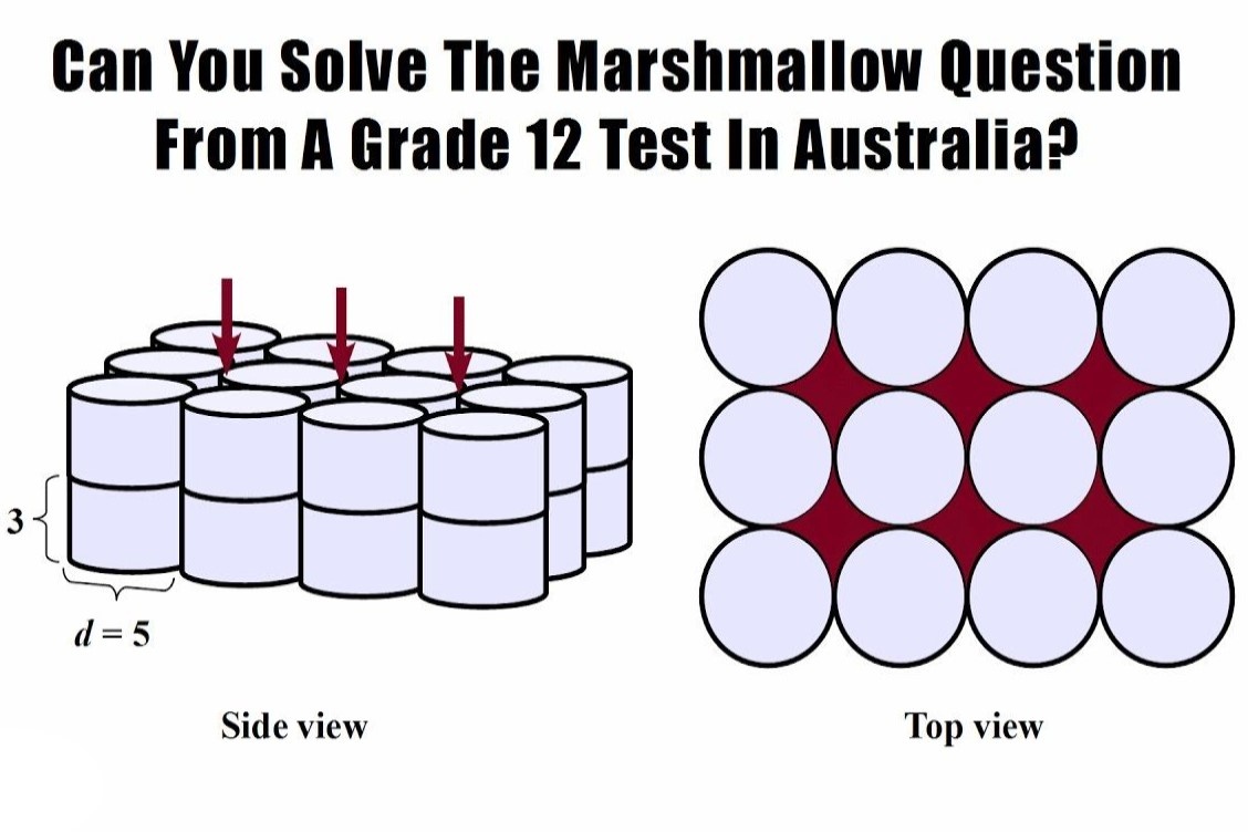 Bai toan lop 12 o Australia thach thuc nhieu nguoi hinh anh