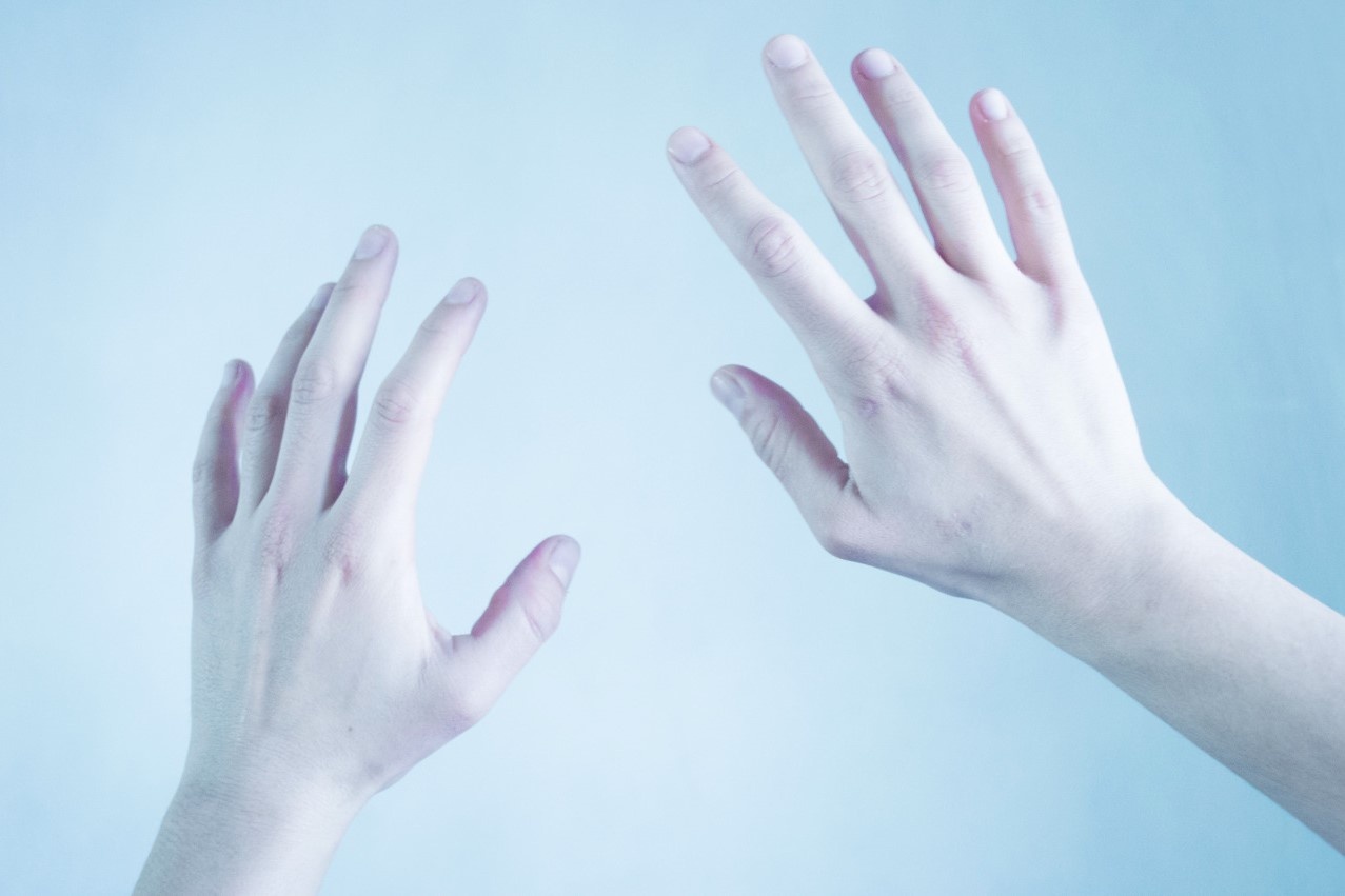 Vi sao ban tay con nguoi co 5 ngon? hinh anh