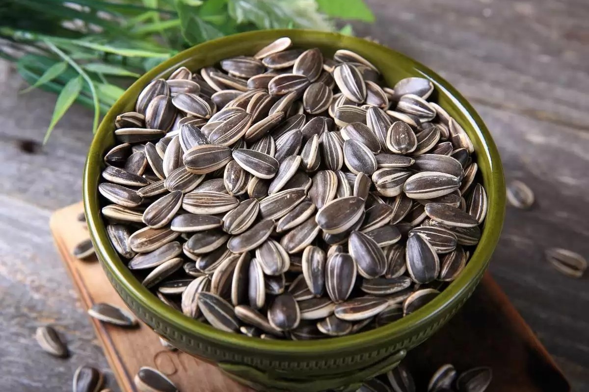 Cong dung cua hat huong duong co the ban chua biet hinh anh