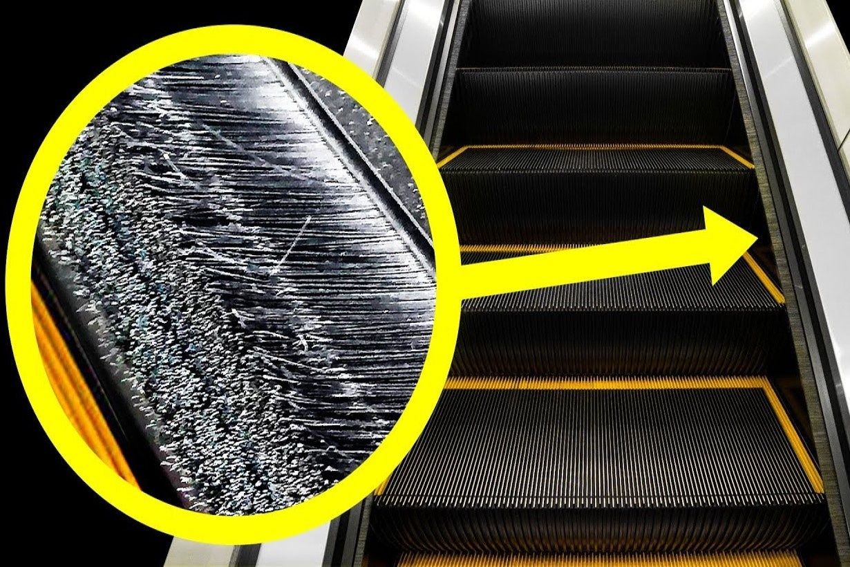 Nhung thu ban thay hang ngay nhung khong biet co tac dung gi hinh anh