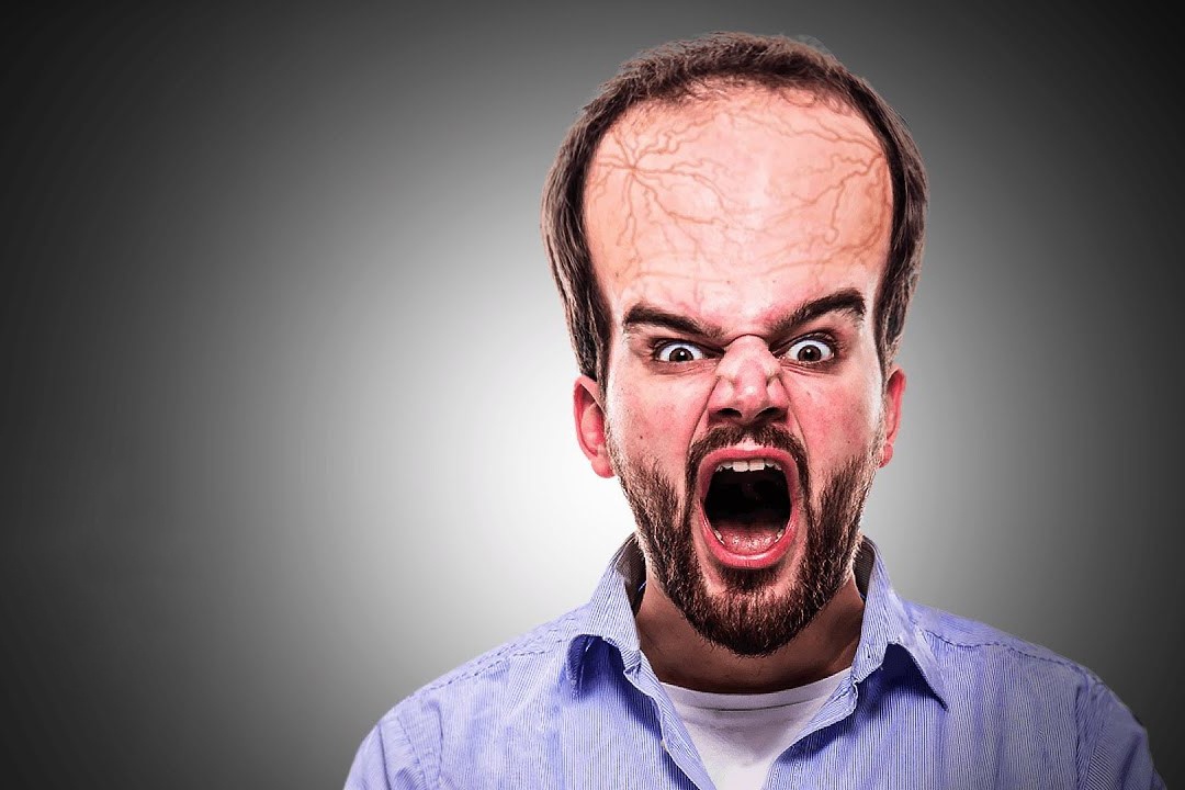 Dieu gi xay ra neu bo nao con nguoi tang gap doi kich thuoc? hinh anh