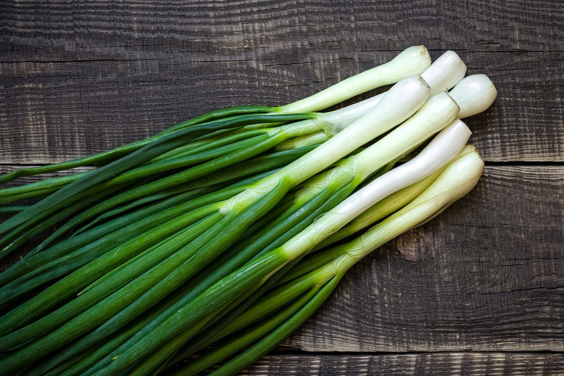 Nhung loi ich bat ngo cua hanh la hinh anh