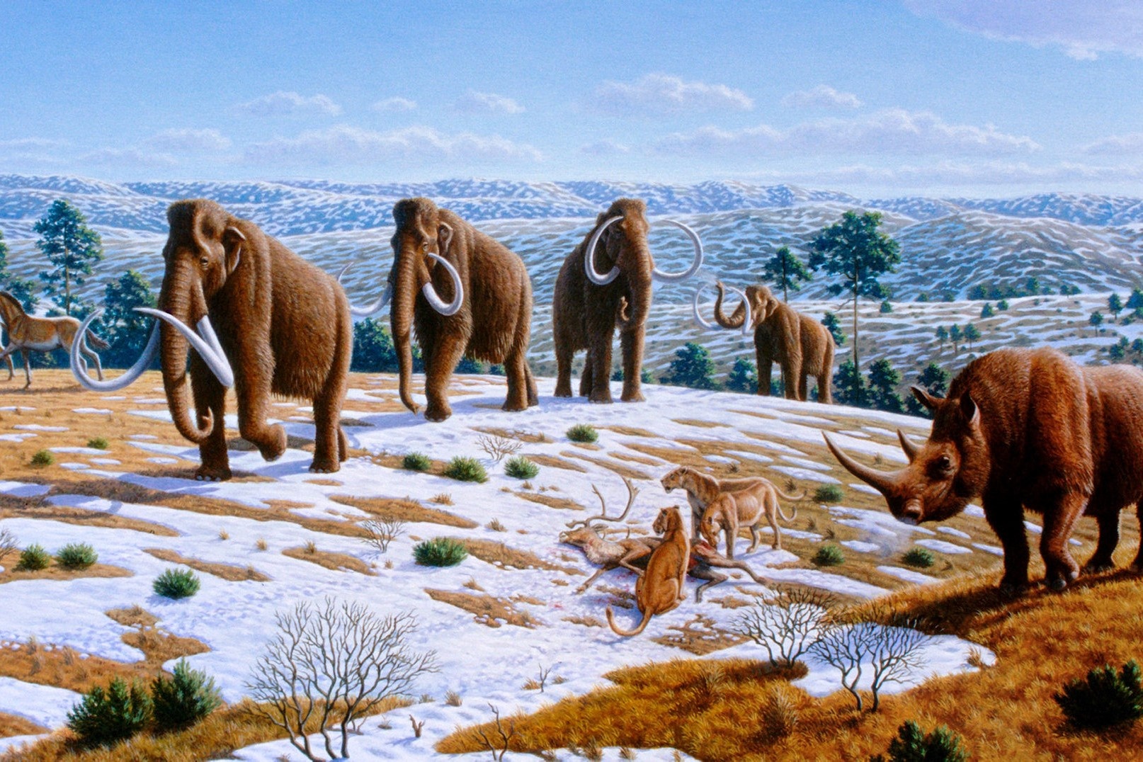 Ban co the song sot neu quay tro lai 2,5 trieu nam truoc? hinh anh