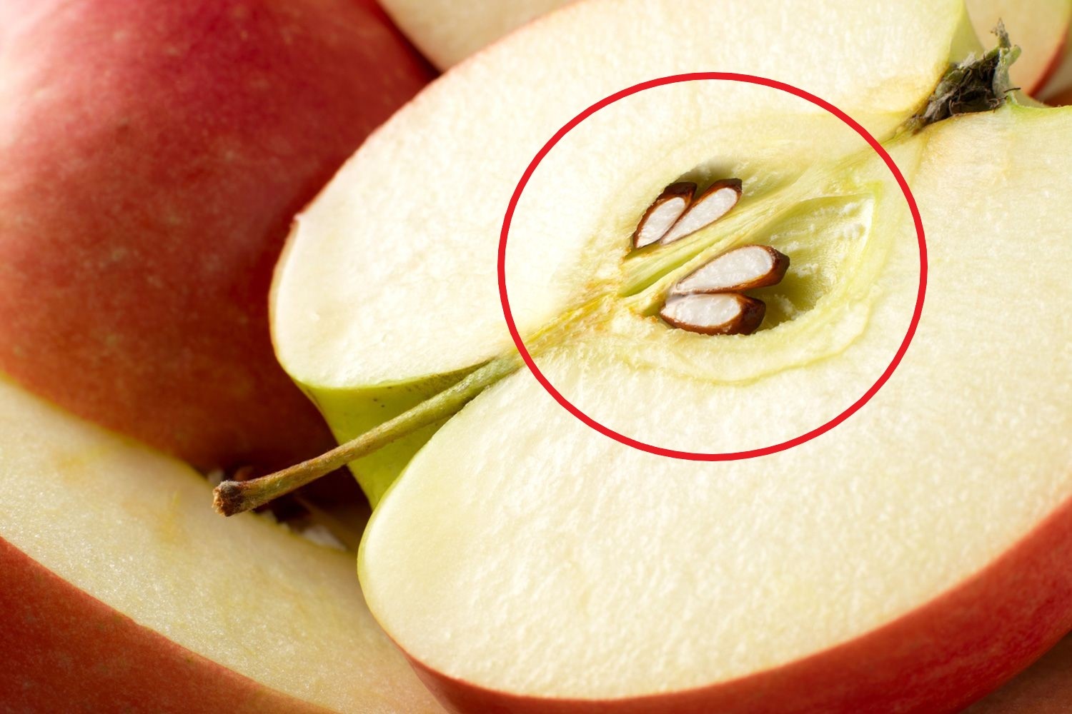 An hat tao loi hay hai? hinh anh