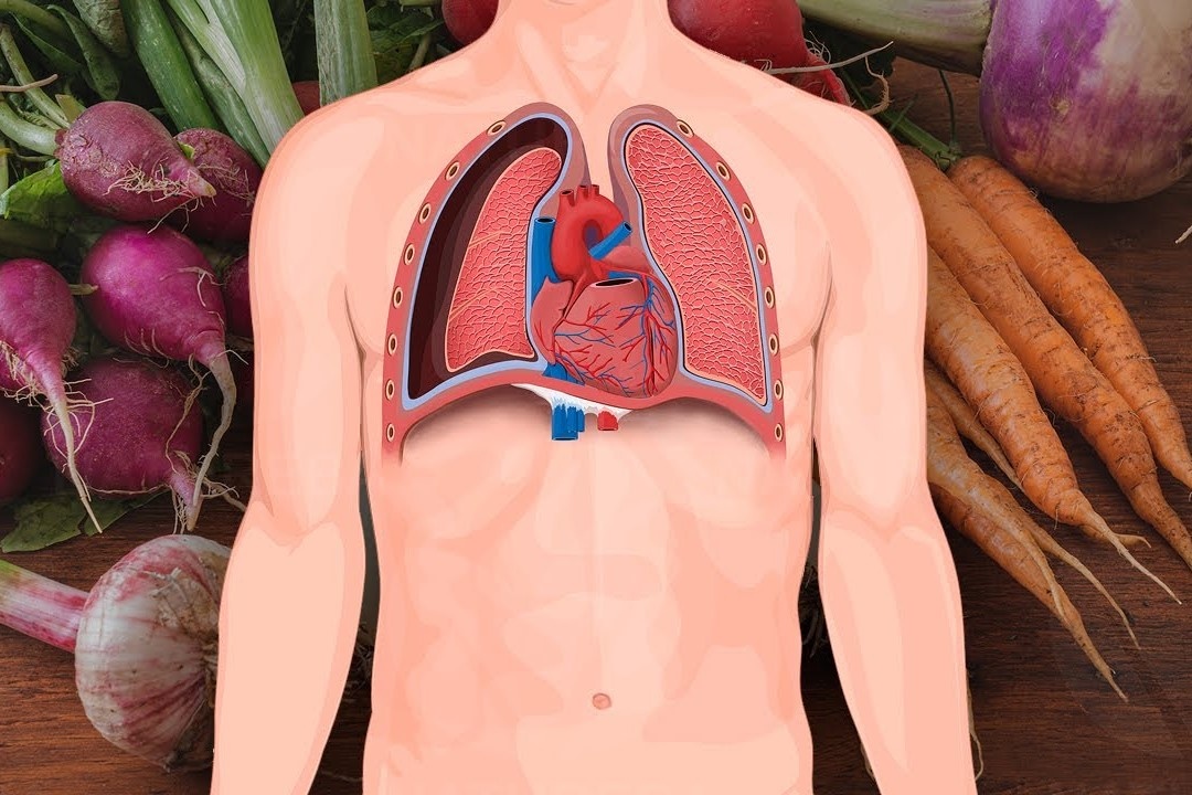 6 thuc pham giup phoi khoe manh hinh anh