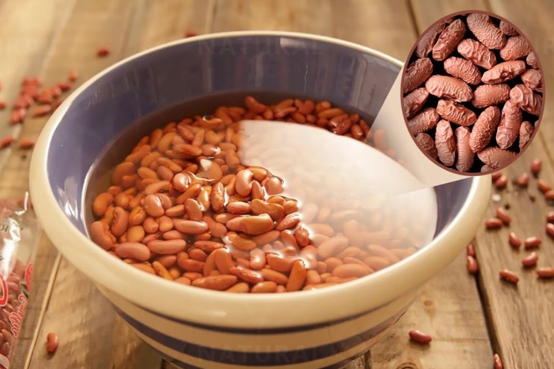 Loi ich it biet cua viec ngam dau truoc khi nau hinh anh