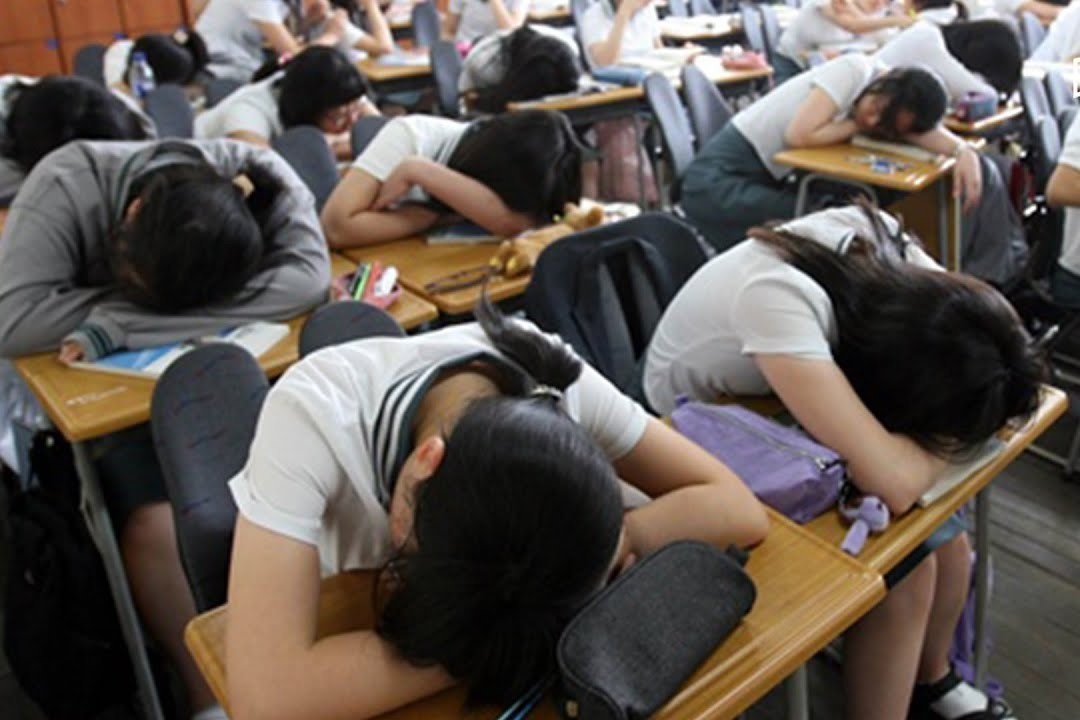 Nhieu hoc sinh Han Quoc thieu ngu tram trong hinh anh