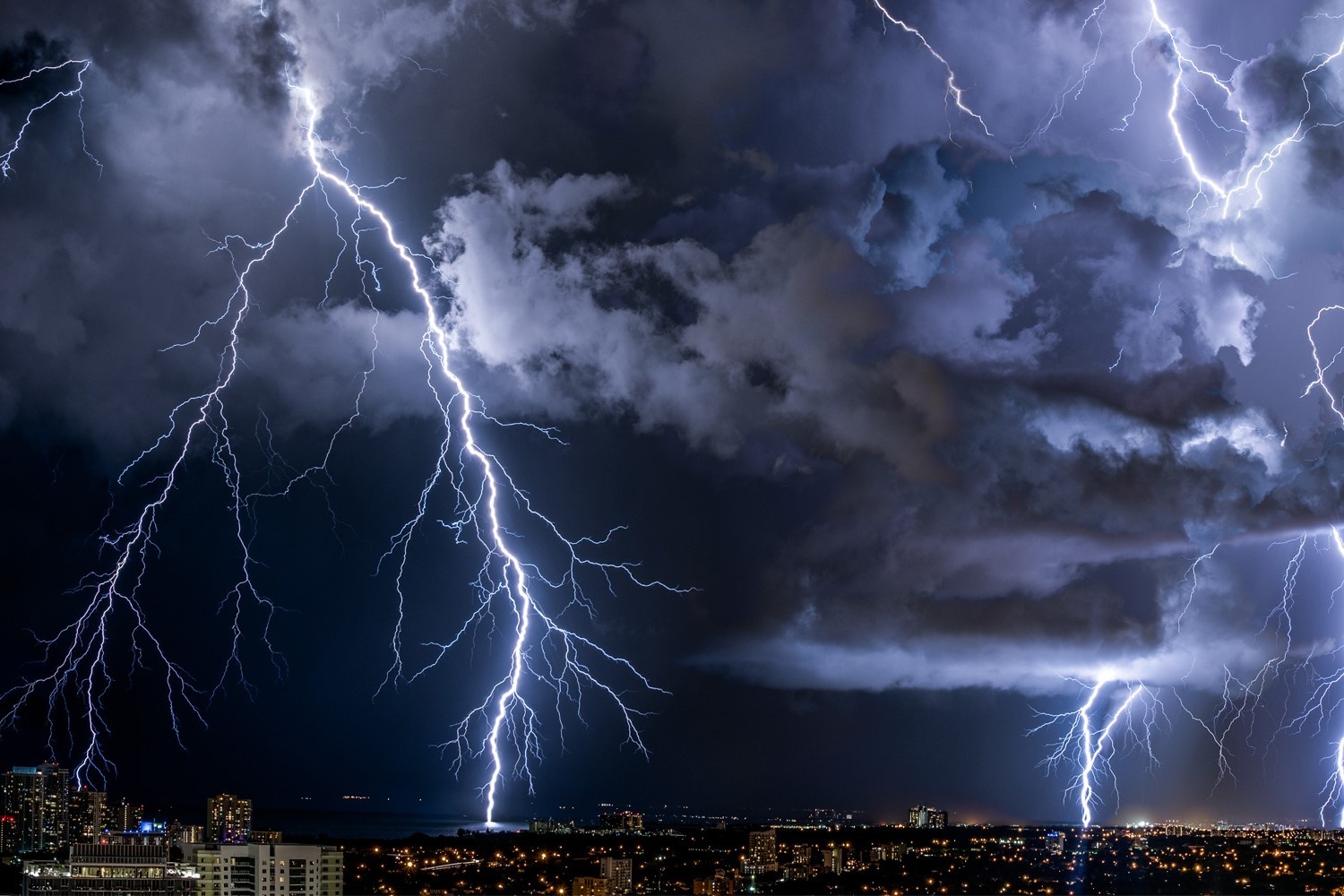 Dong duoc hinh thanh nhu the nao? hinh anh