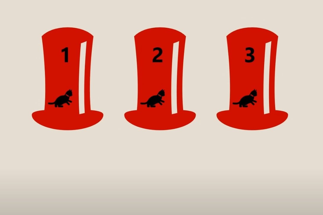 Cau do logic: Con meo o chiec mu nao? hinh anh