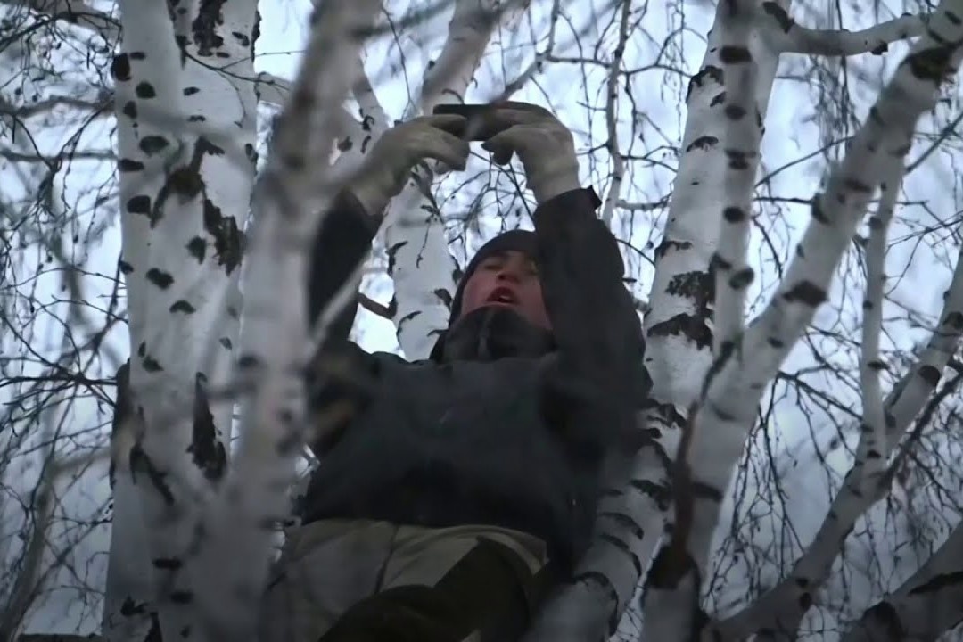 Nam sinh Nga treo len cay cao 8 m hoc online hinh anh