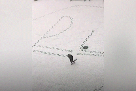 Thay giao in dau chan len tuyet giup hoc sinh ghi nho cong thuc Vat ly hinh anh