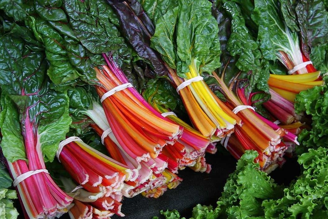 Loi ich bat ngo cua cai cau vong hinh anh