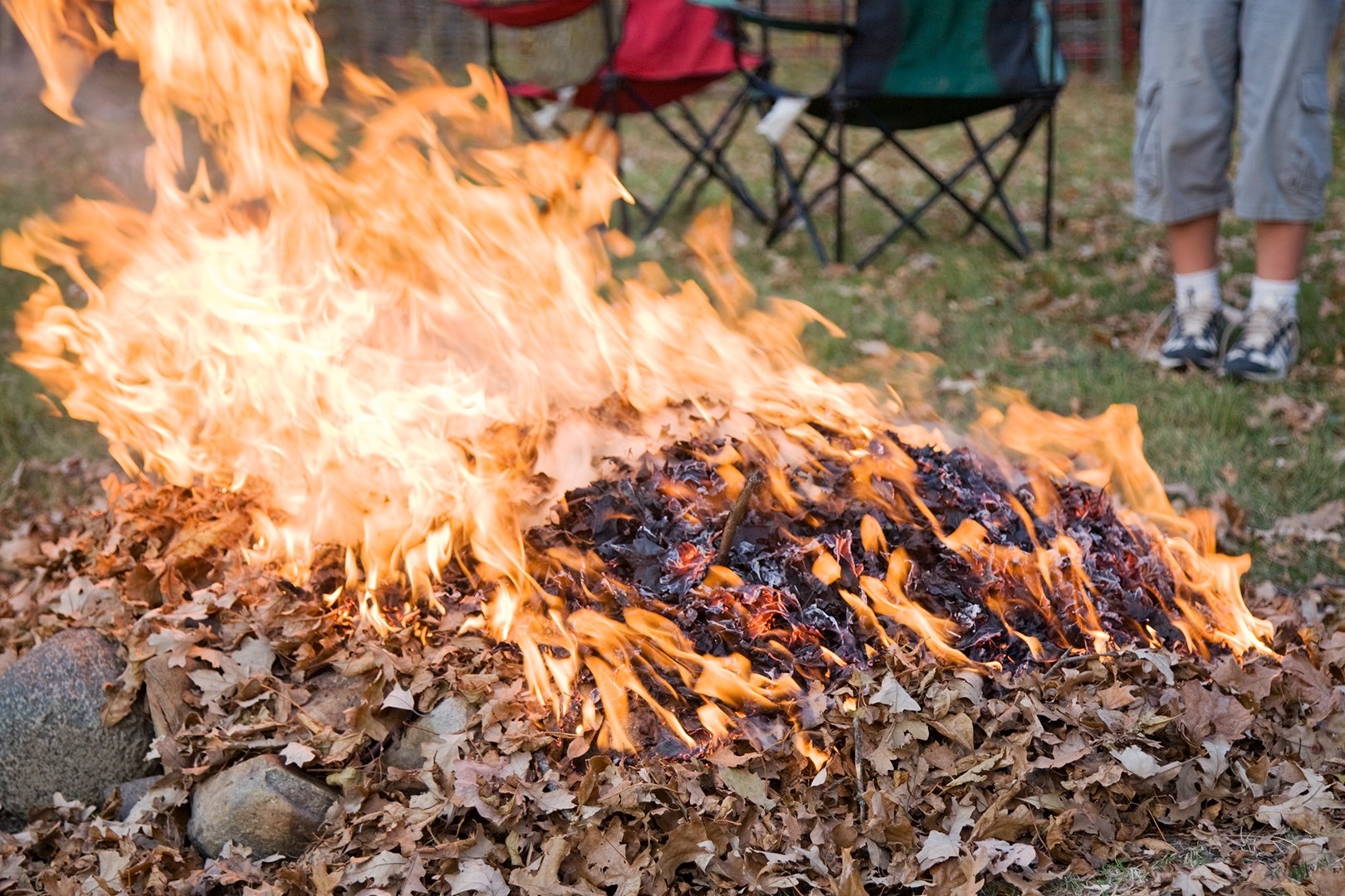 Vi sao la kho de bat lua hon la xanh? hinh anh