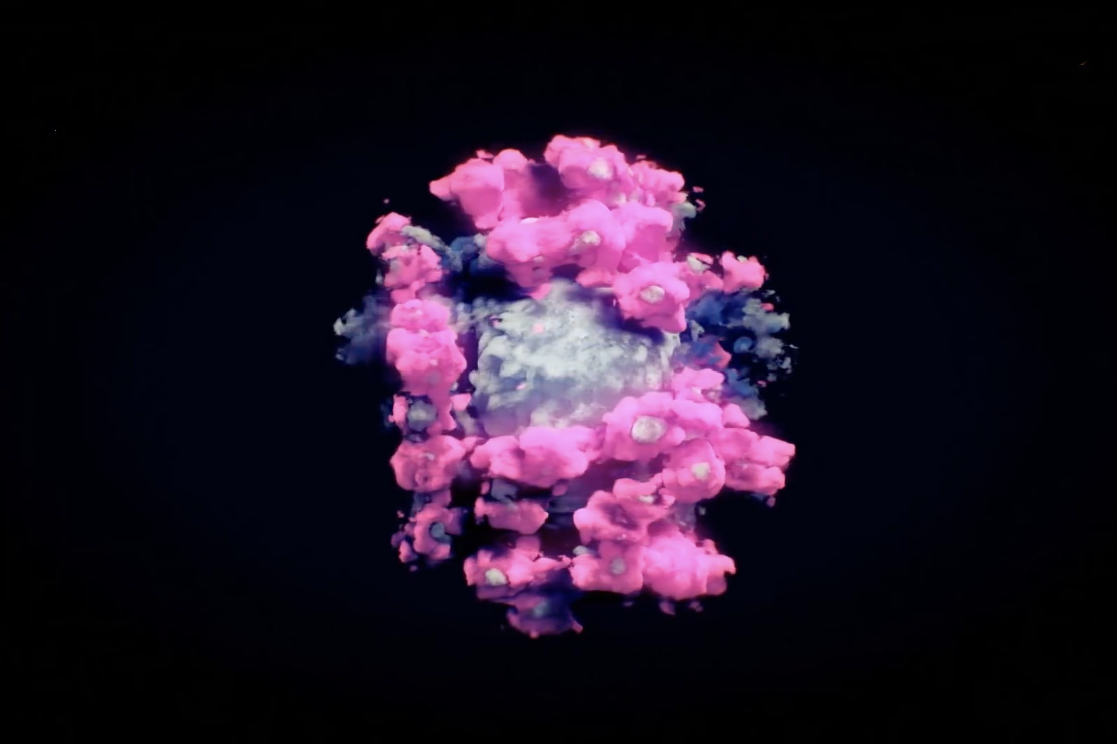 Hinh anh 3D dau tien cua virus corona hinh anh