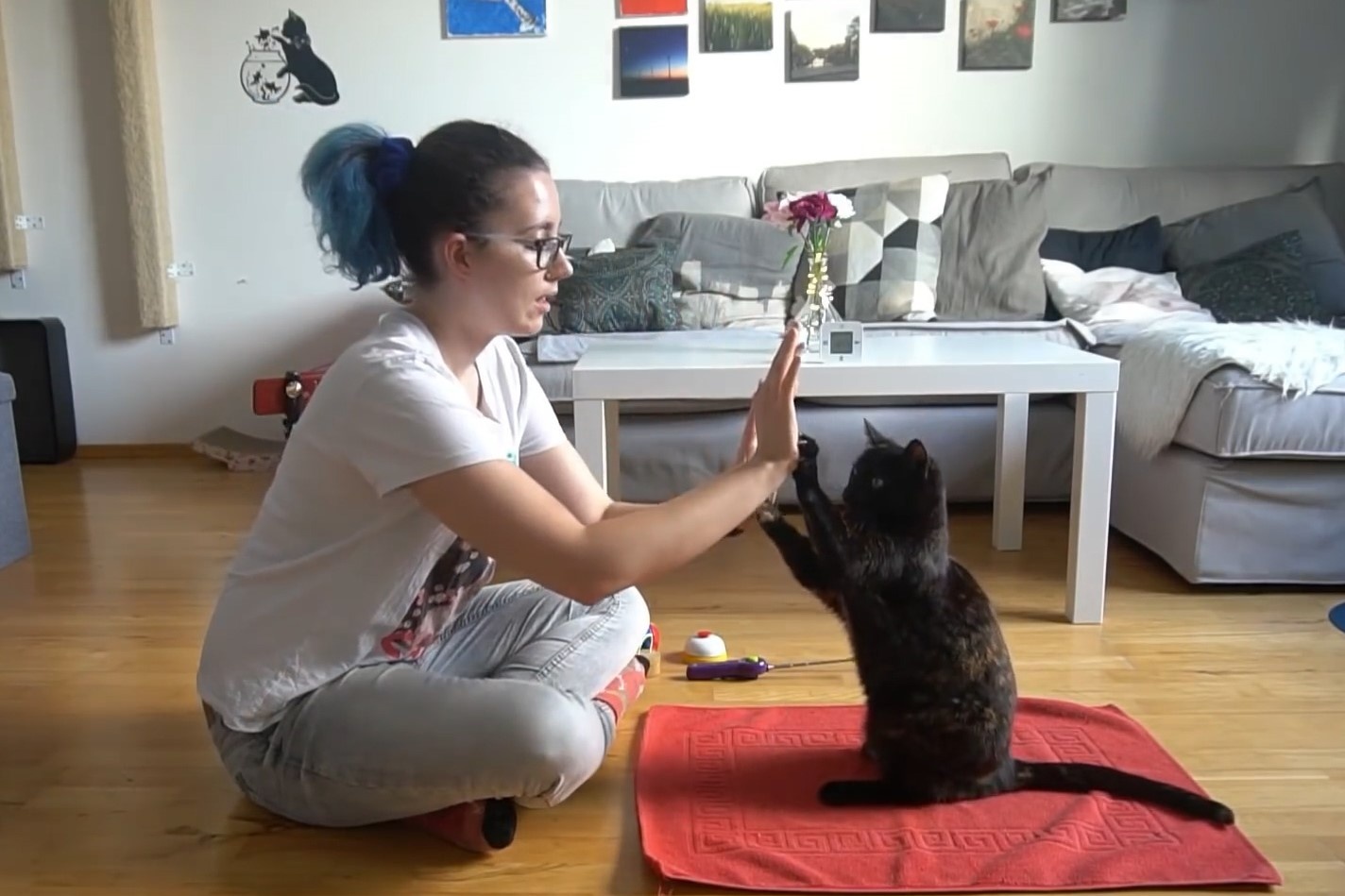 Nu sinh Australia lap ky luc Guinness khi huan luyen meo hinh anh