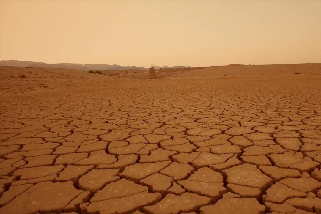 Vi sao sa mac kho can rat lanh vao ban dem? hinh anh