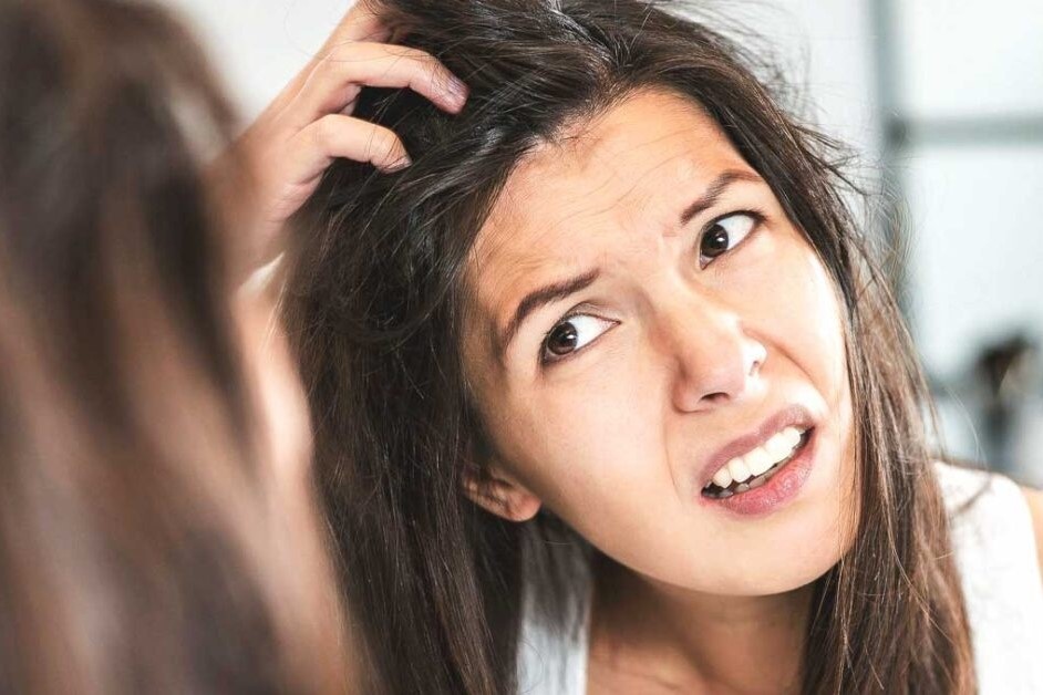 Cach loai bo gau don gian tai nha hinh anh