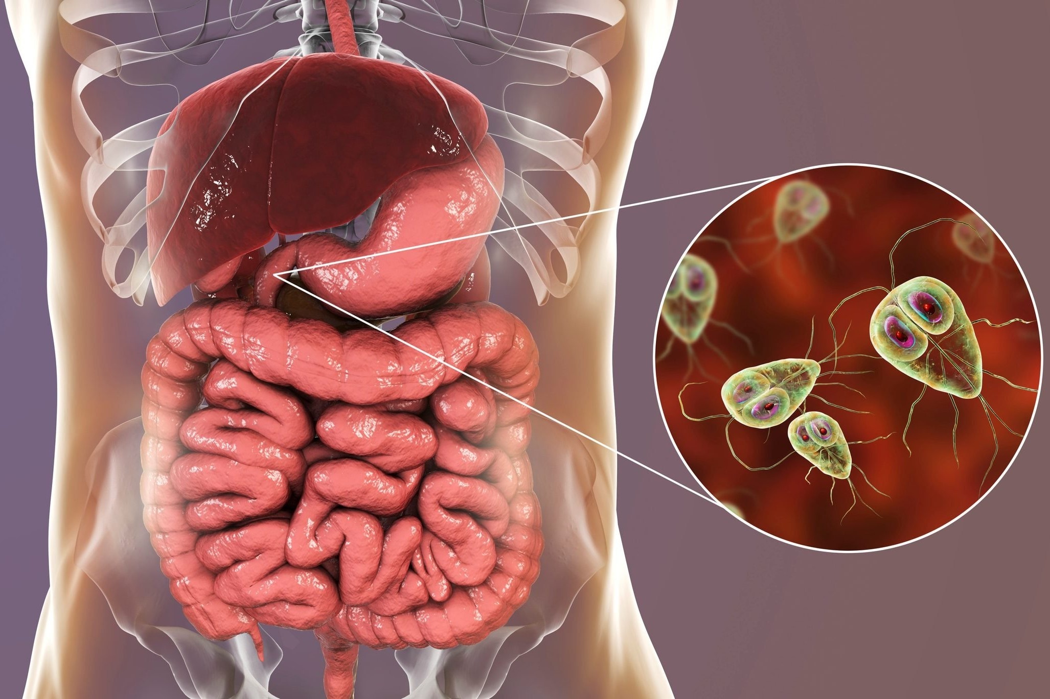 Dau hieu co the nhiem ky sinh trung hinh anh