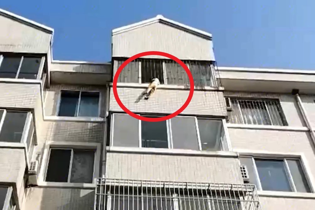 Cuu be 5 tuoi du ngoai cua so o Trung Quoc hinh anh