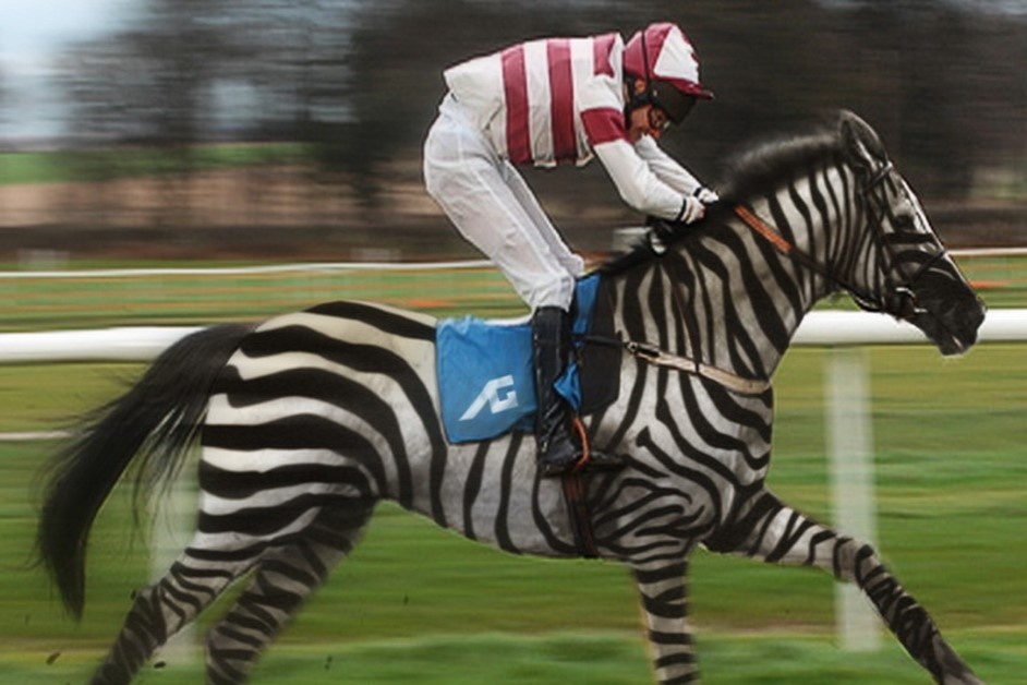Vi sao con nguoi khong bao gio cuoi ngua van? hinh anh