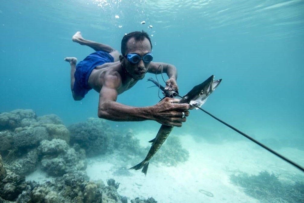 Vi sao toc nguoi Bajau co the nin tho 13 phut duoi bien? hinh anh