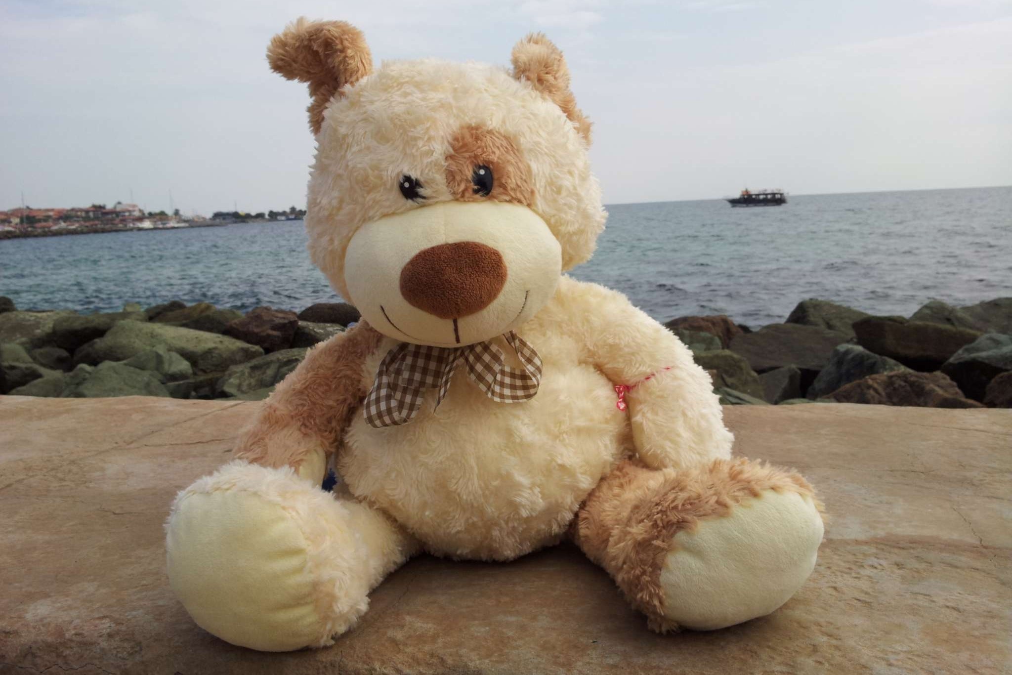 Ai phat minh ra gau bong? hinh anh