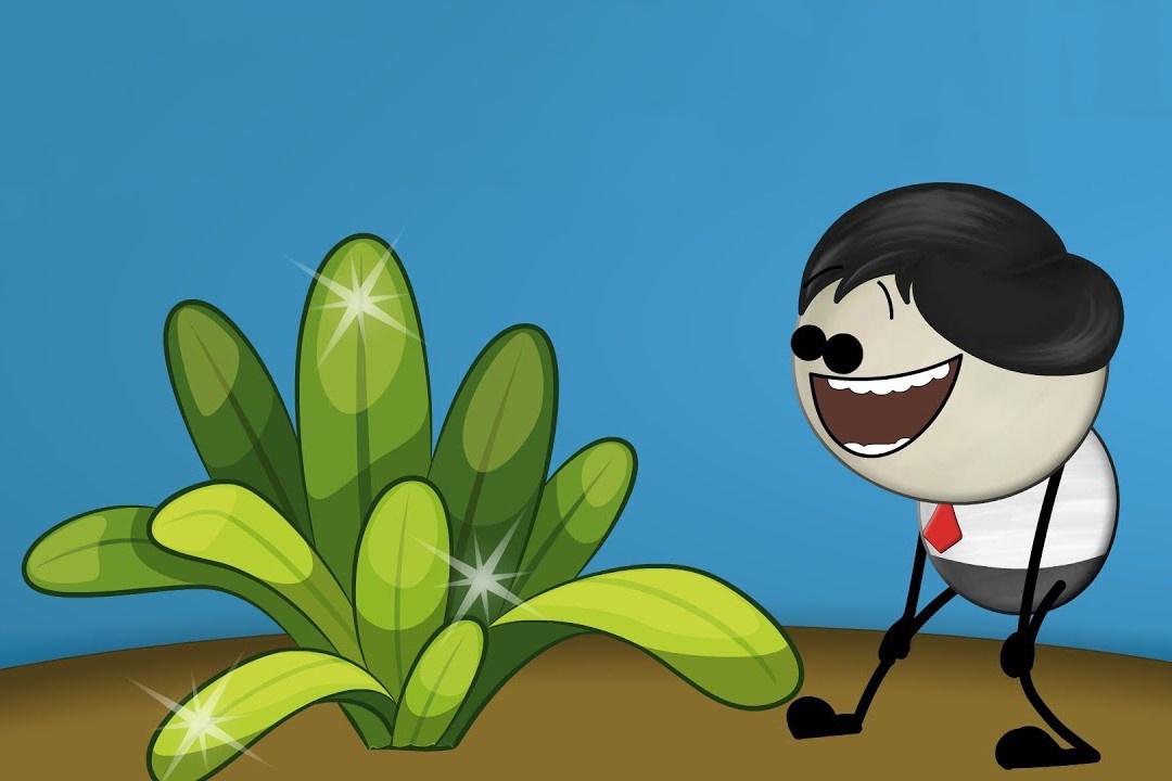 Vi sao co co mau xanh luc? hinh anh