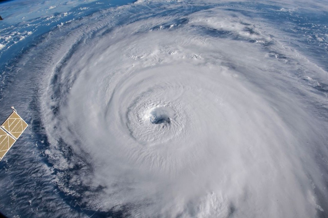 Xoay thuan nhiet doi hinh thanh nhu the nao? hinh anh