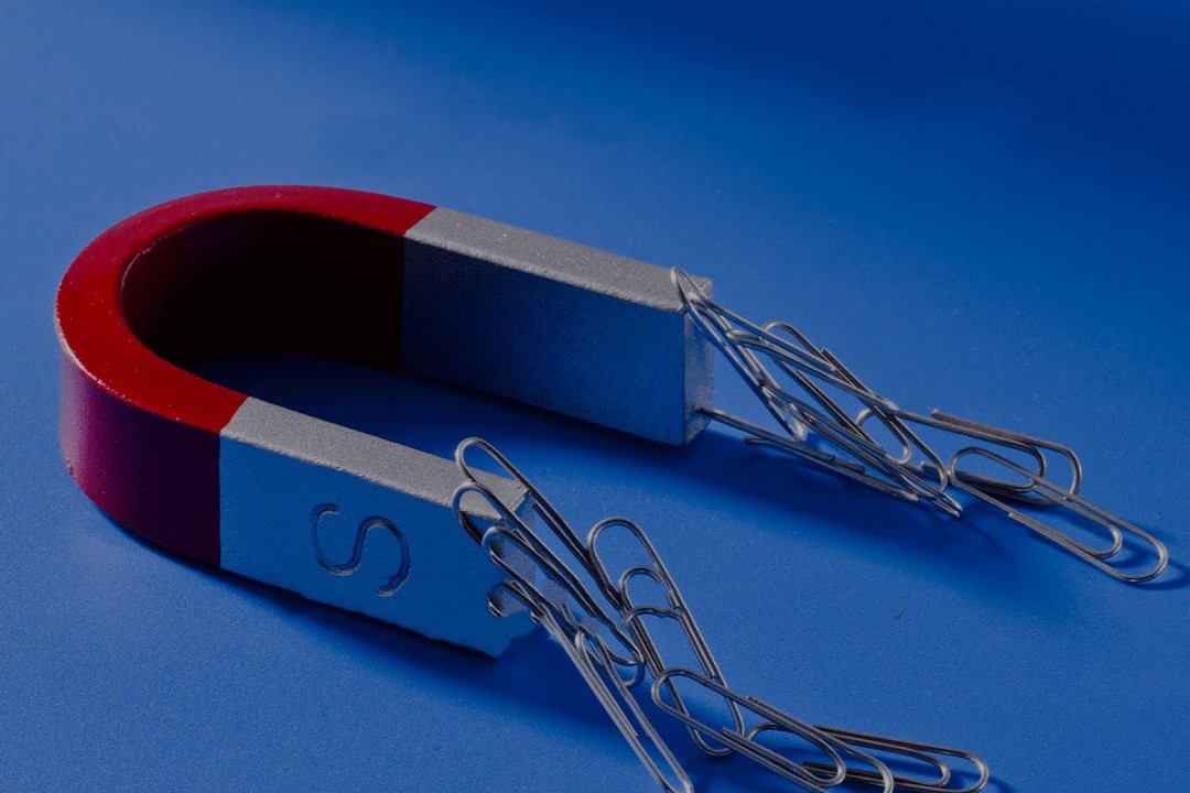 Nam cham duoc che tao nhu the nao? hinh anh