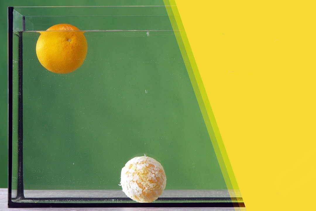 Vi sao qua cam khong chim trong nuoc? hinh anh