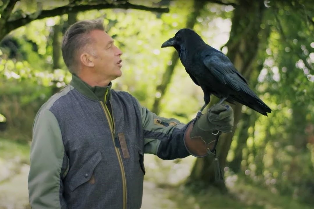 Loai qua thong minh nhu the nao? hinh anh