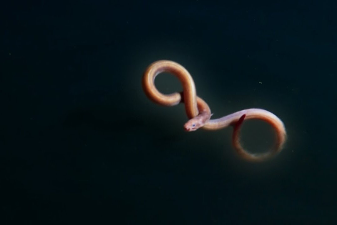 Ca chinh hong xe bi soc doc duoi do sau hon 1.000 m hinh anh