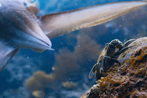 Cach muc nang san cua hinh anh