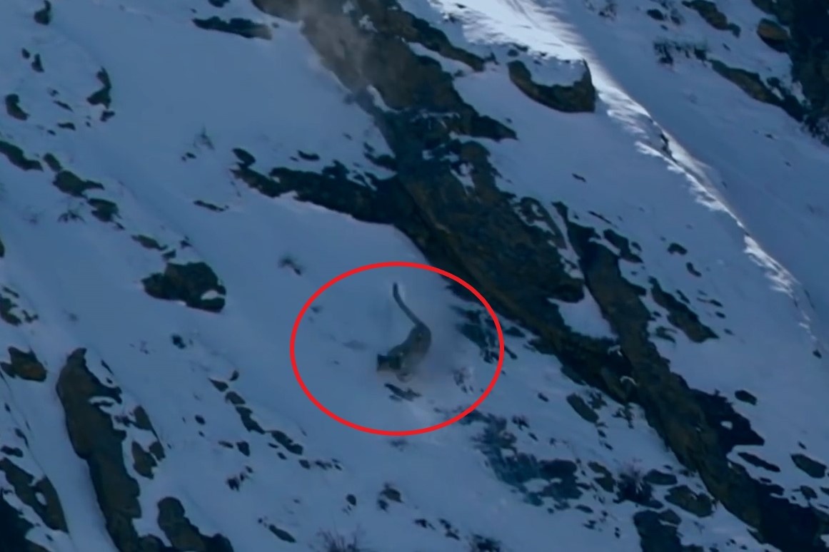 Bao tuyet roi xuong vach nui khi dang san moi hinh anh