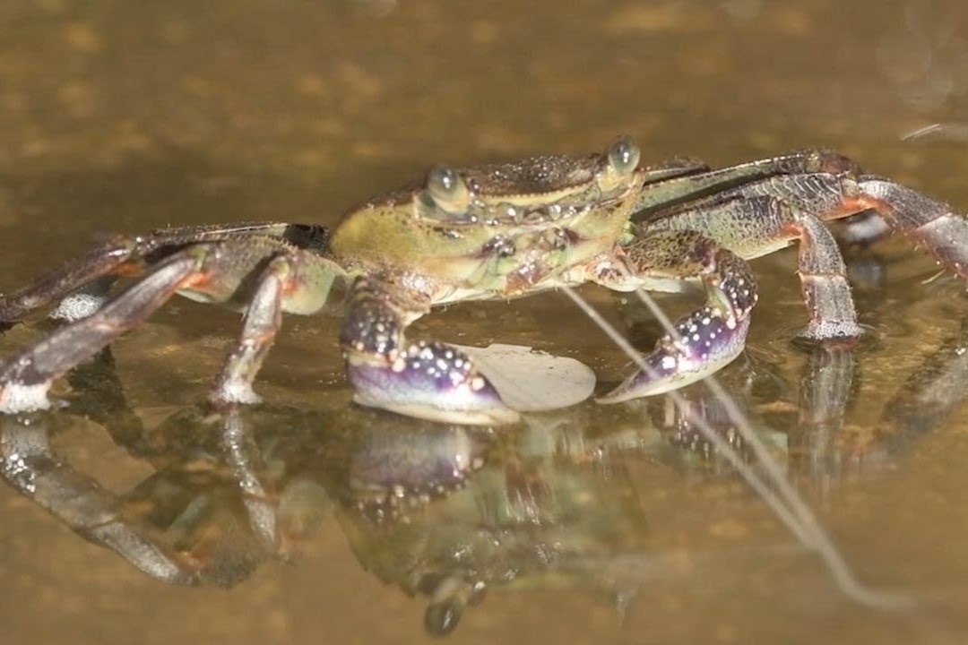 Can canh cua phun nuoc bien tu mieng hinh anh