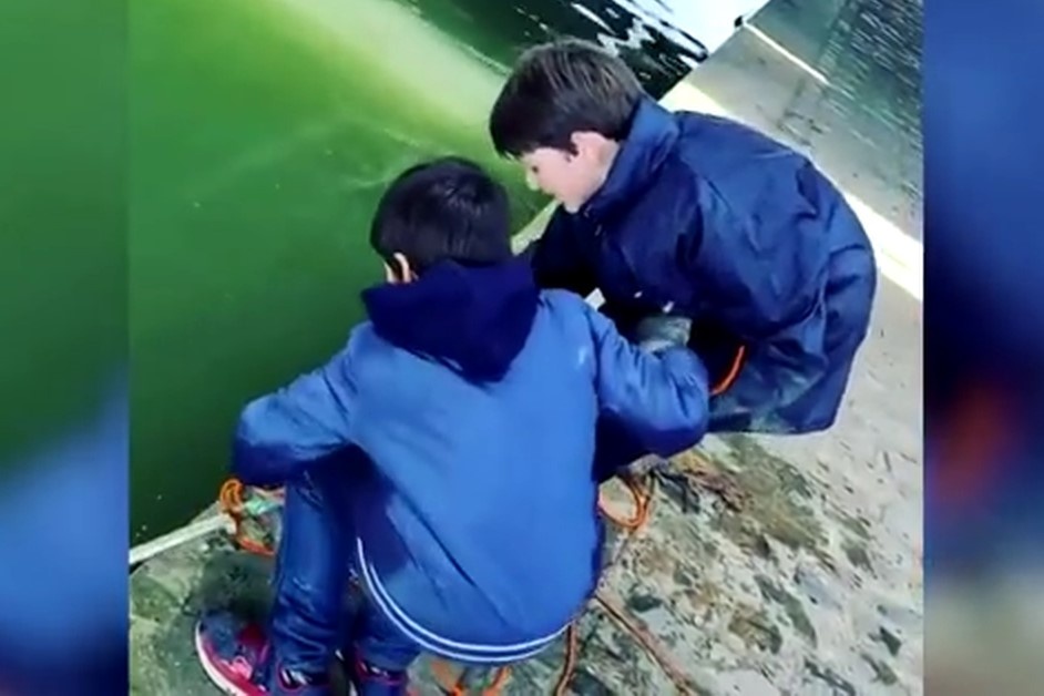 Cau be 11 tuoi cau hang tram chiec xe may duoi song Seine hinh anh