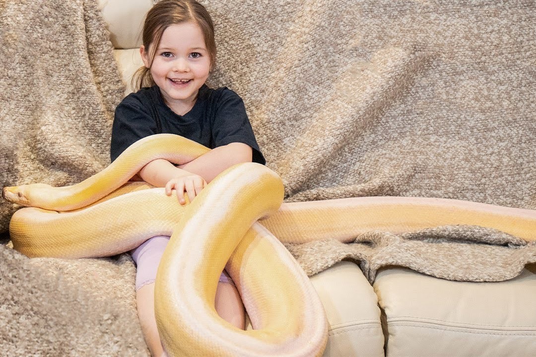 Tinh ban 6 nam cua be gai 8 tuoi va tran khong lo hinh anh