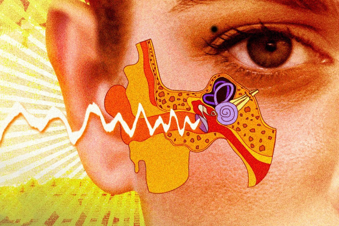 Co gi ben trong tai nguoi? hinh anh