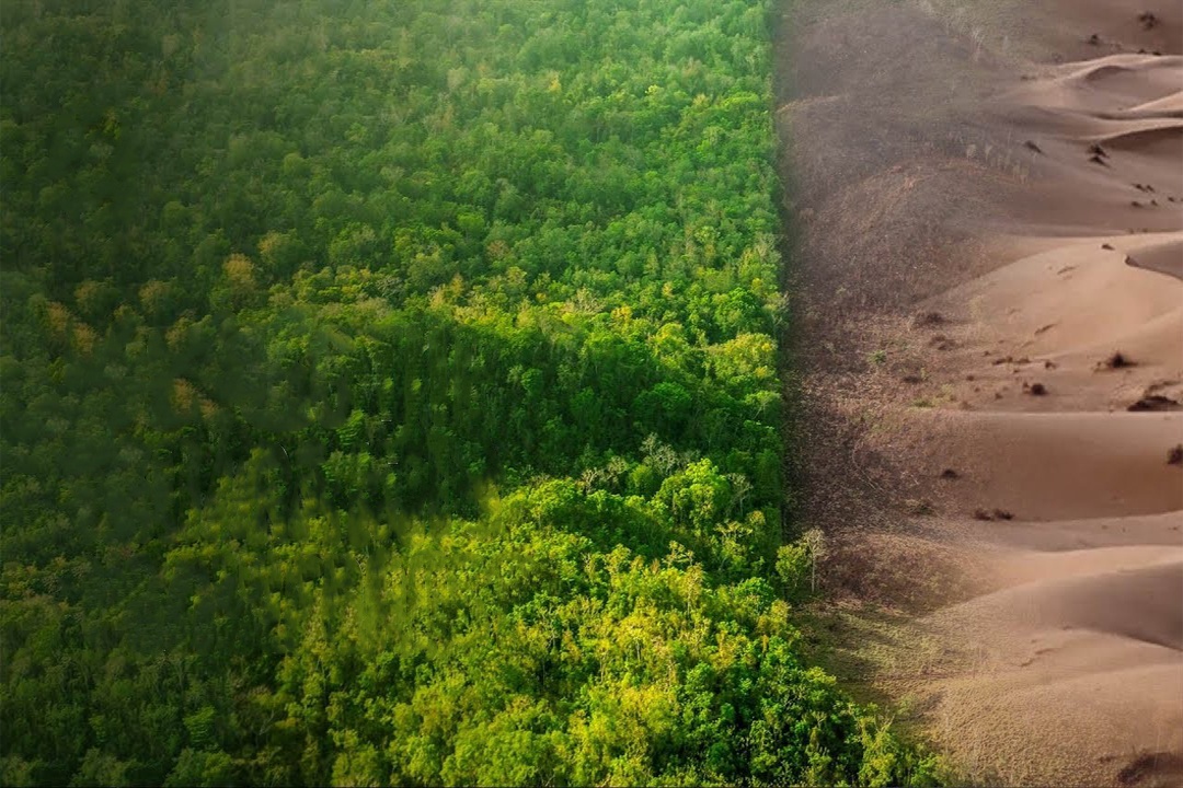 Dieu gi xay ra neu phu xanh sa mac Sahara? hinh anh