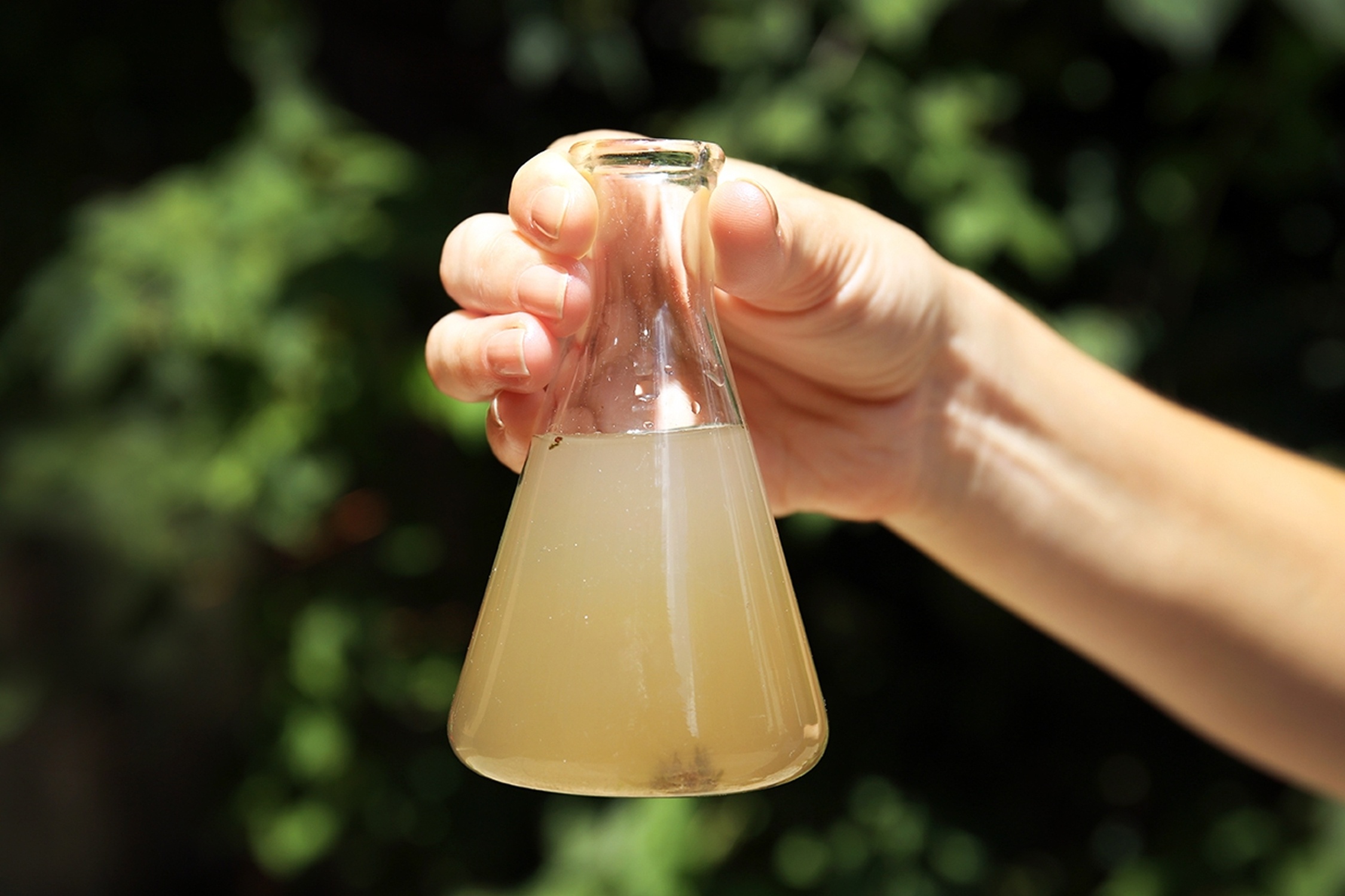 Vi sao nuoc khong hoa tan duoc moi thu? hinh anh