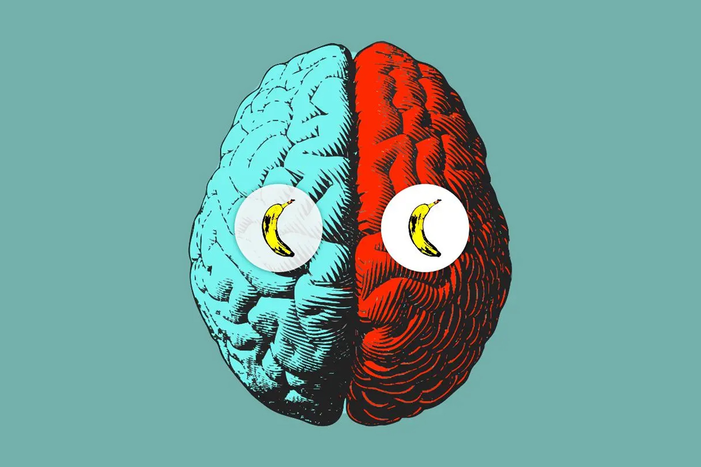 Bo nao tao nen ky uc nhu the nao? hinh anh