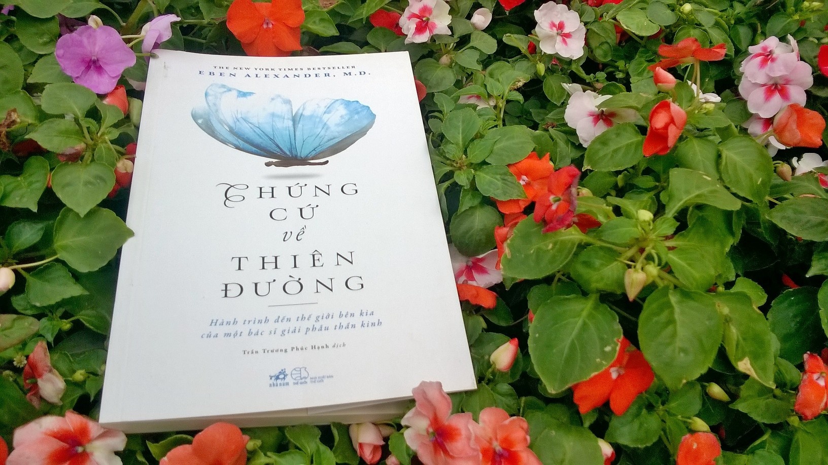 Sach truyen cam hung song cua nguoi da doi mat voi tu than anh 5