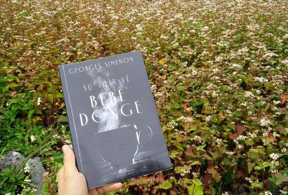 Su that ve Bebe Donge anh 1