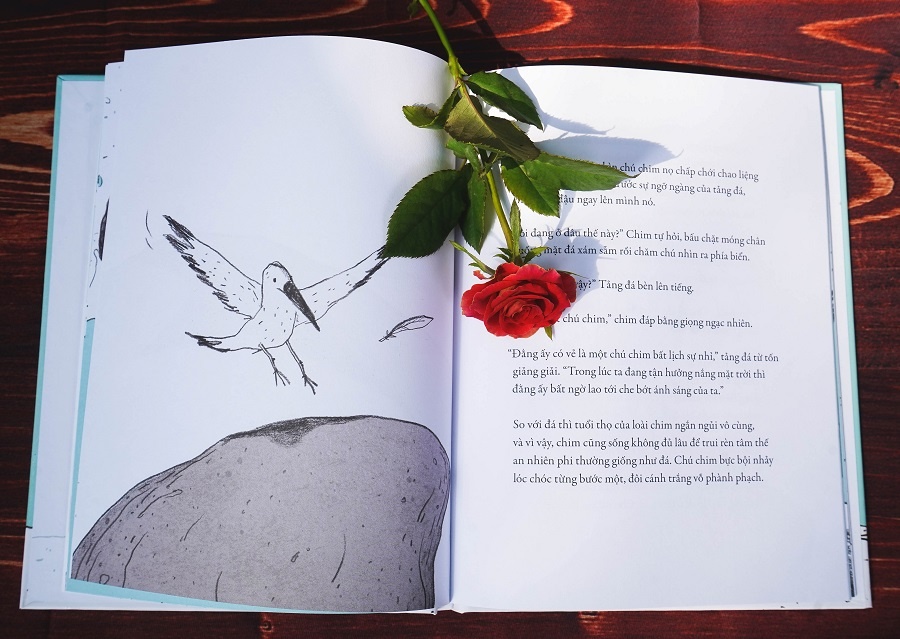 Bong chim tren tang da anh 2