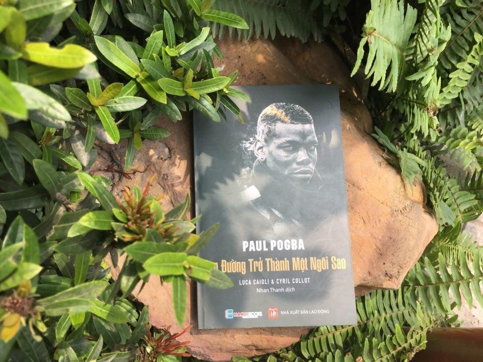 Paul Pogba- Con đường trở thành một ngôi sao ảnh 1 Paul Pogba- Con duong tro thanh mot ngoi sao anh 1