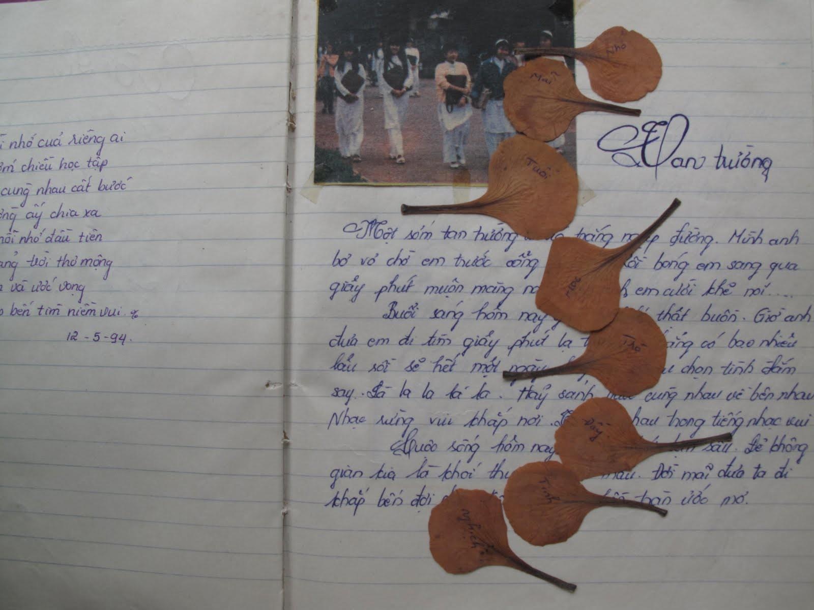 Này tình đầu, em đã qua bao mùa phượng vĩ? ảnh 2 Nay tinh dau, em da qua bao mua phuong vi? anh 2