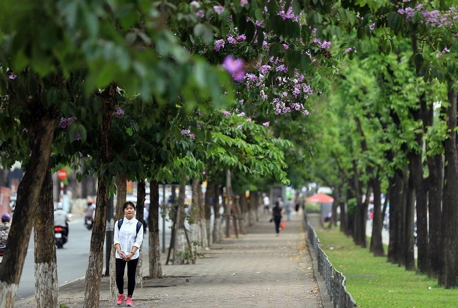 Ngay nang gat va nhung cau chuyen ve tieng ve trong long pho hinh anh