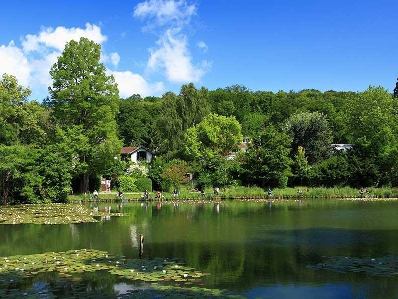 Khúc bi ca của một thiên tài ảnh 3 Khuc bi ca cua mot thien tai anh 3